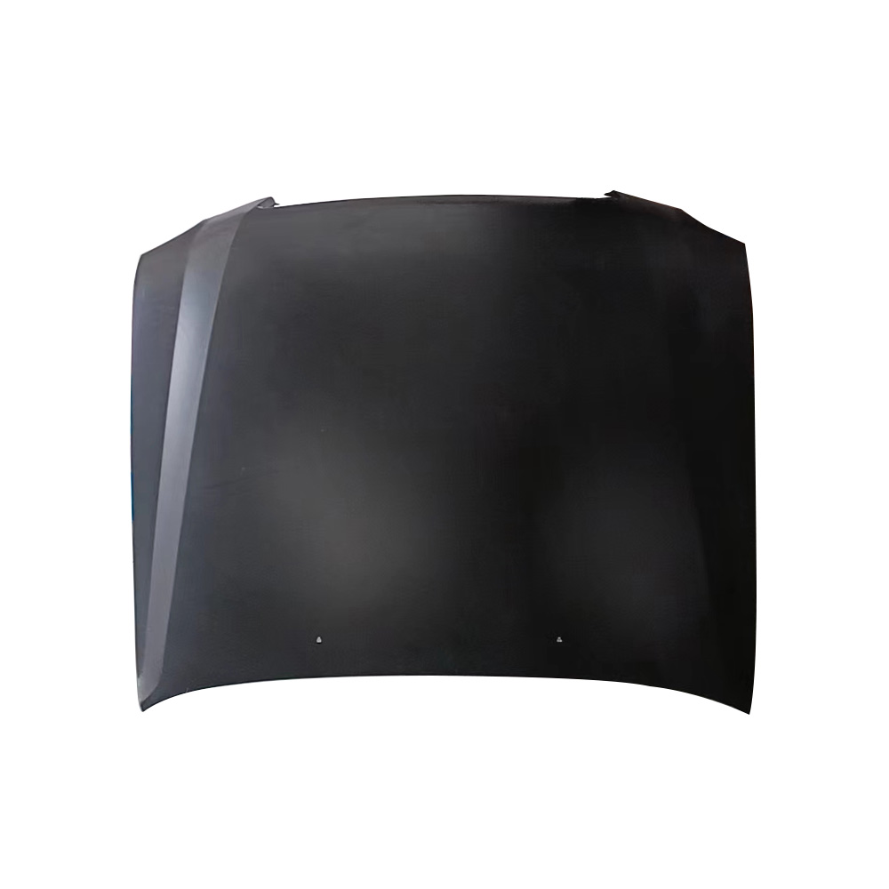 HOOD COMPATIBLE WITH LEXUS LX470