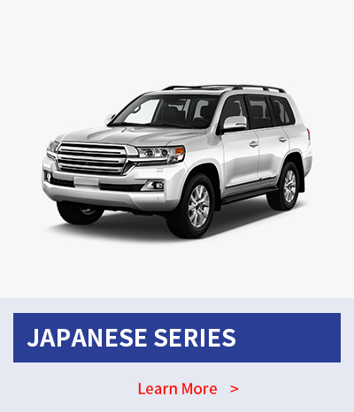 JAPANESE SERIES