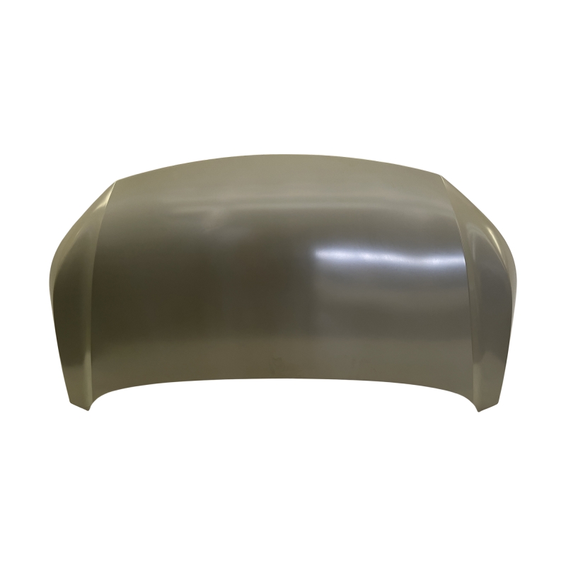 HOOD COMPATIBLE WITH 2022- GAC AION V