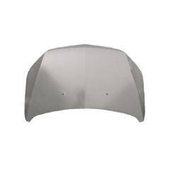 HOOD COMPATIBLE WITH 2010 CHEVROLET SAIL