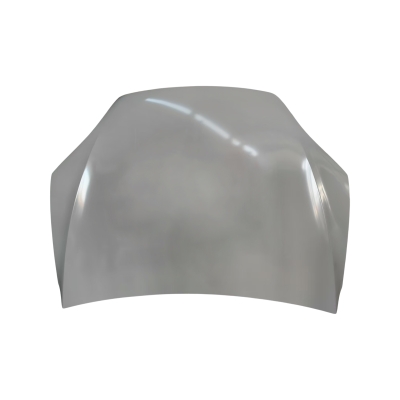 HOOD COMPATIBLE WITH 2022- TESLA MODEL X