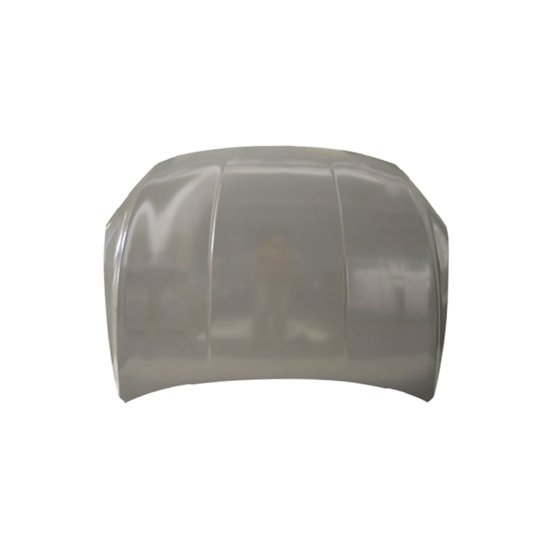 HOOD COMPATIBLE WITH BYD QIN PLUS EV