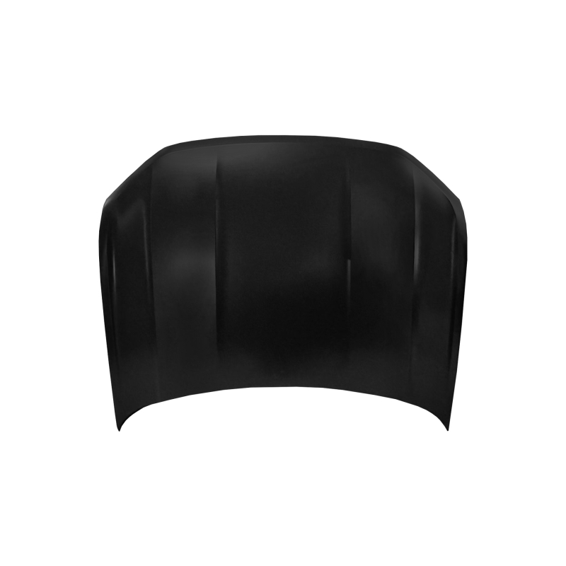 HOOD US COMPATIBLE WITH 2021 VOLKSWAGEN TERAMONT