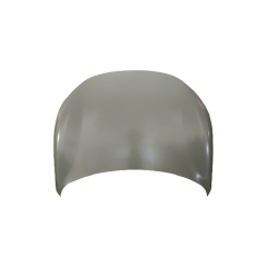 HOOD COMPATIBLE WITH 2020 BYD HAN EV