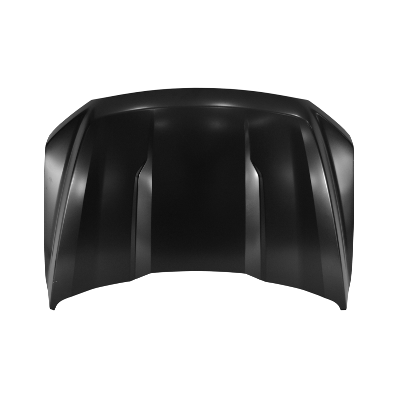 HOOD (STEEL) COMPATIBLE WITH FORD F150-F150 2021-