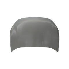 HOOD COMPATIBLE WITH 2020- GAC GS4