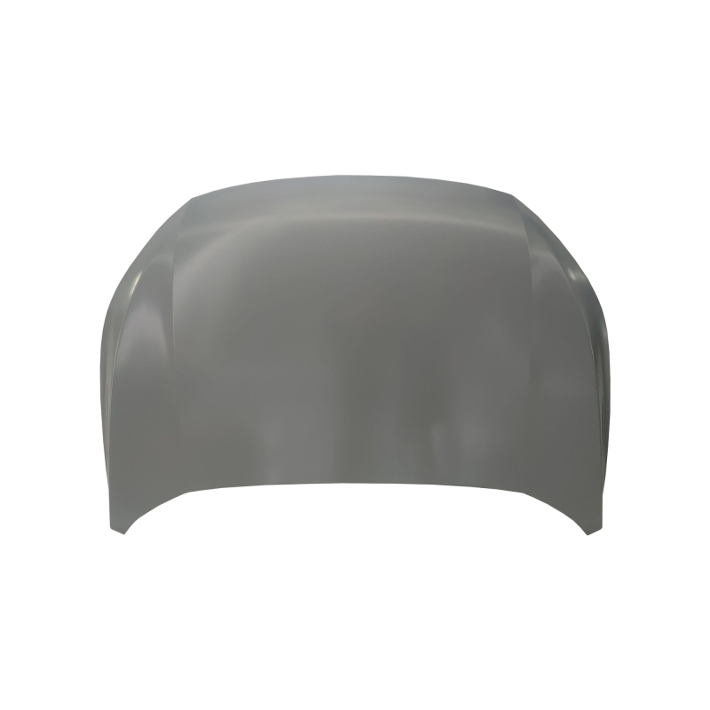 HOOD COMPATIBLE WITH 2020- GAC GS4