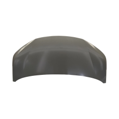 HOOD COMPATIBLE WITH 2021- GAC AION Y