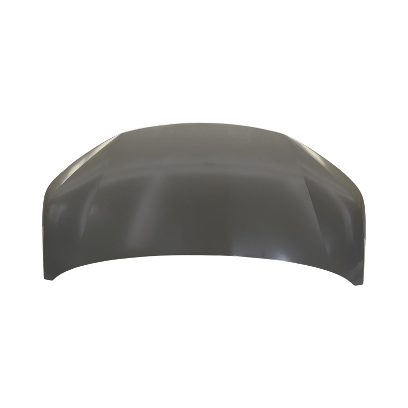 HOOD COMPATIBLE WITH 2021- GAC AION Y