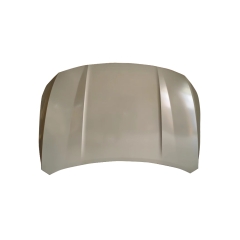 HOOD COMPATIBLE WITH 2022 CHERY ARRIZO 8