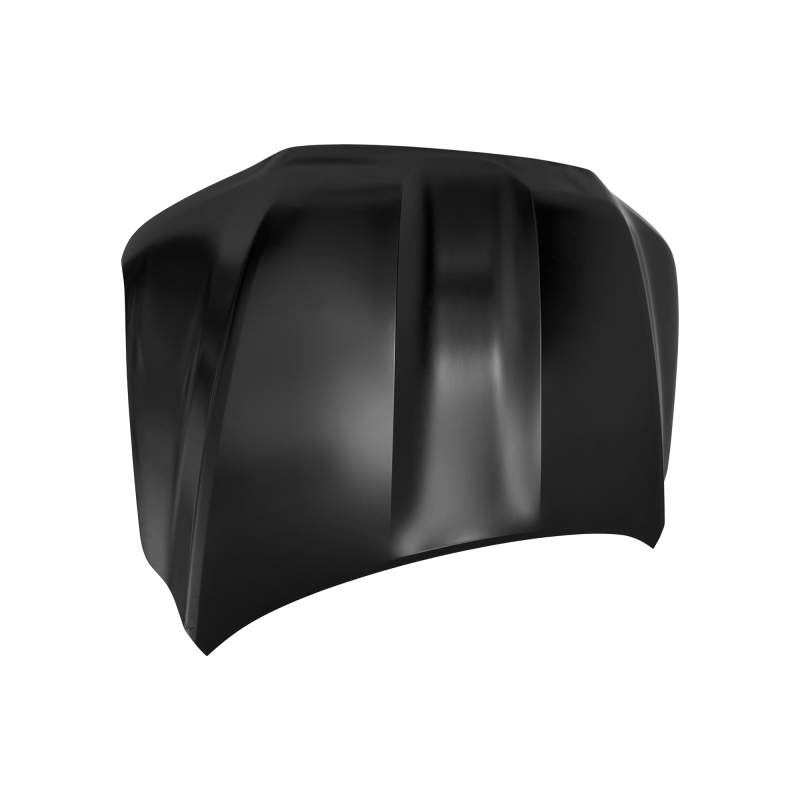 HOOD COMPATIBLE WITH 2021 TOYOTA LAND CRUISER, FE