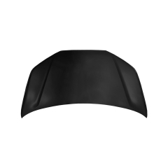 HOOD COMPATIBLE WITH 2021- TOYOTA RAIZE
