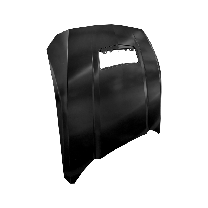 HOOD(GT) COMPATIBLE WITH 2024 FORD MUSTANG