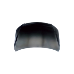 HOOD COMPATIBLE WITH BYD L3