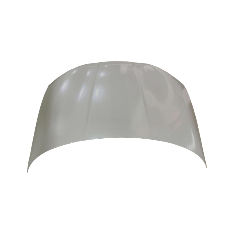 HOOD COMPATIBLE WITH 2023- BYD SEAL EV