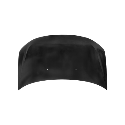 HOOD COMPATIBLE WITH 2007-2014 FORD EDGE