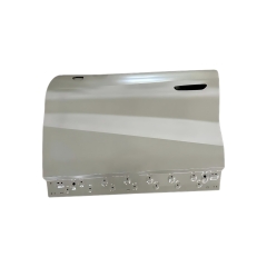 FRONT DOOR COMPATIBLE WITH 2024- BYD SONG L EV, LH