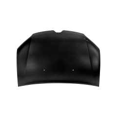 HOOD COMPATIBLE WITH 2013 RENAULT LOGAN