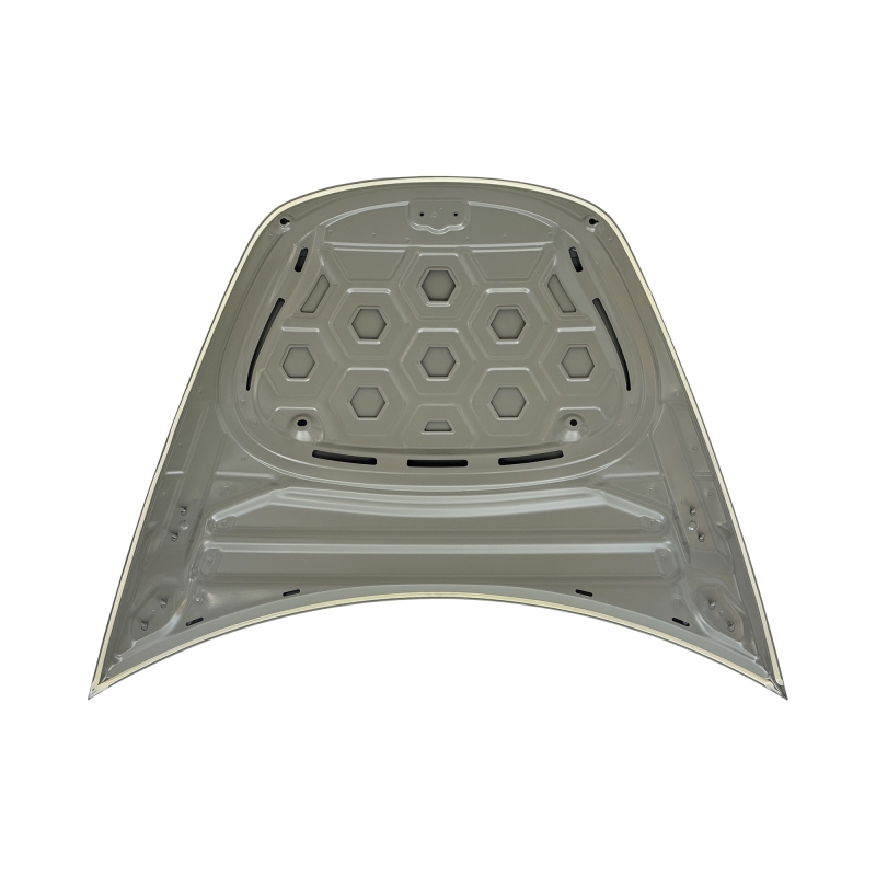 HOOD COMPATIBLE WITH TESLA MODEL 3