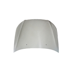 HOOD COMPATIBLE WITH  CHERY RIICH G3(J18) 
