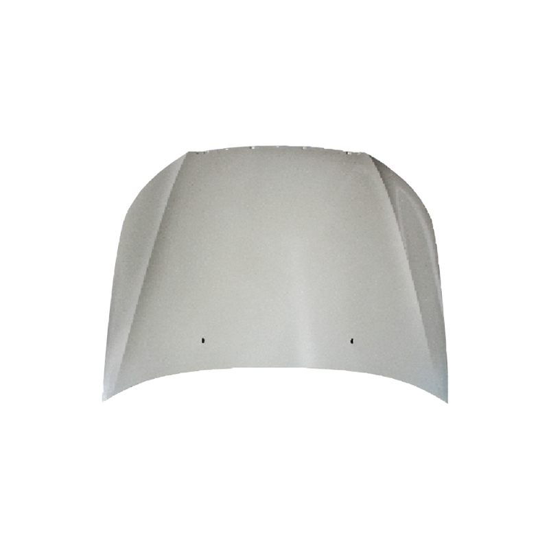 HOOD COMPATIBLE WITH  CHERY RIICH G3(J18) 