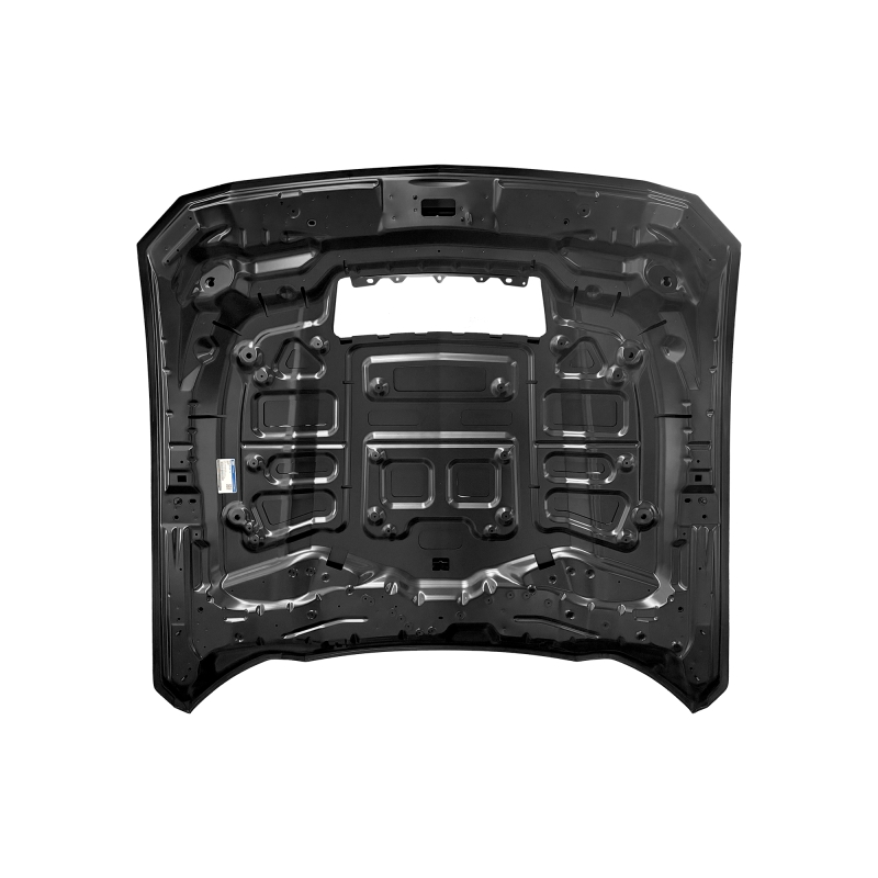HOOD(GT) COMPATIBLE WITH 2024 FORD MUSTANG