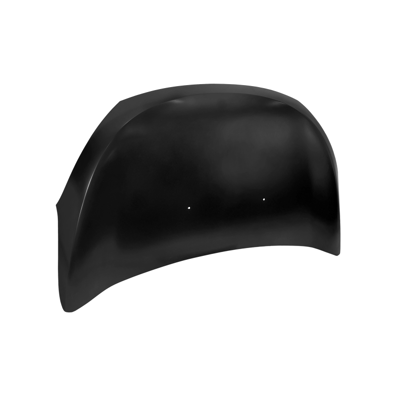 HOOD COMPATIBLE WITH RENAULT LODGY