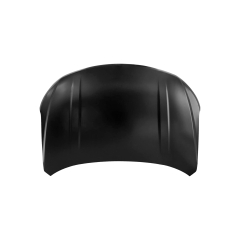 HOOD COMPATIBLE WITH 2018- DONGFENG FENGGUANG S560