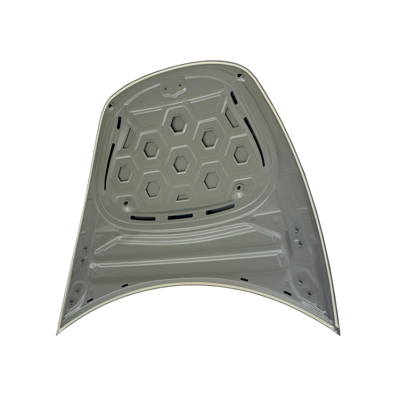 HOOD COMPATIBLE WITH TESLA MODEL 3
