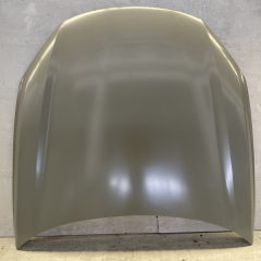 HOOD COMPATIBLE WITH 2021- BYD E2