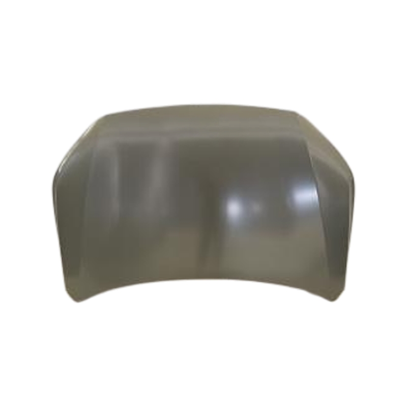 HOOD COMPATIBLE WITH 2022- GAC AION S PLUS