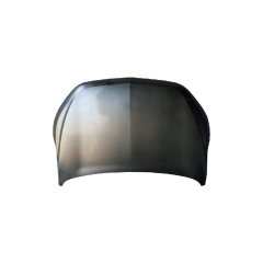 HOOD COMPATIBLE WITH BAOJUN 510