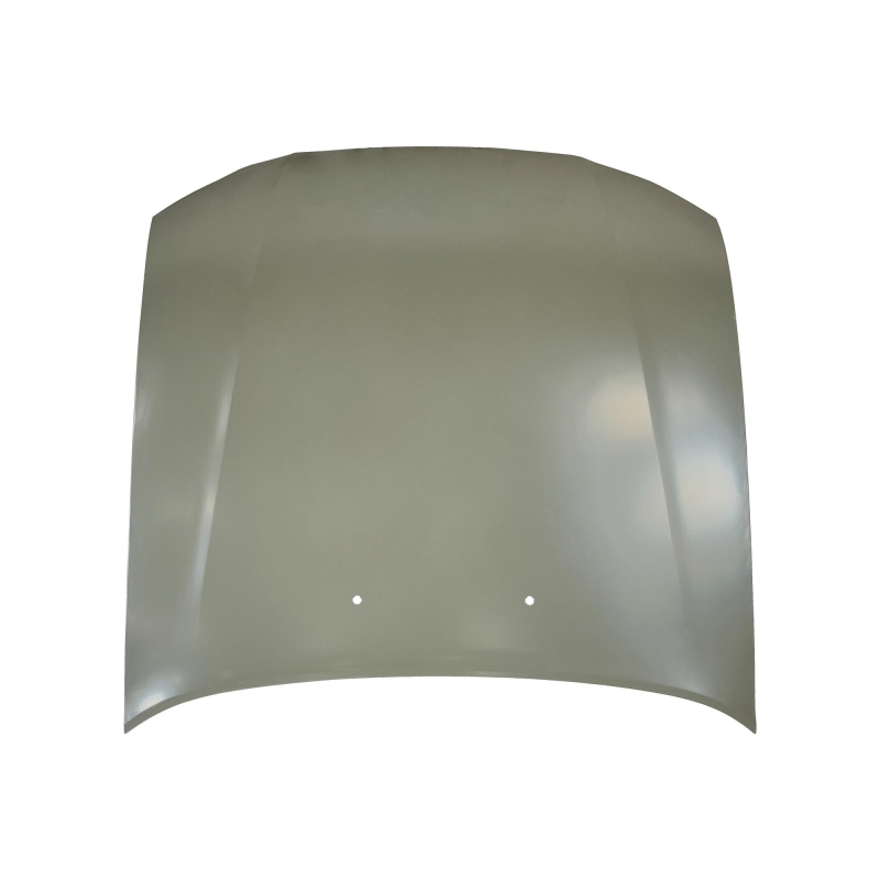 HOOD COMPATIBLE WITH DAEWOO CIELO