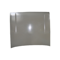 HOOD COMPATIBLE WITH 1976 FORD ESCORT MARK 2