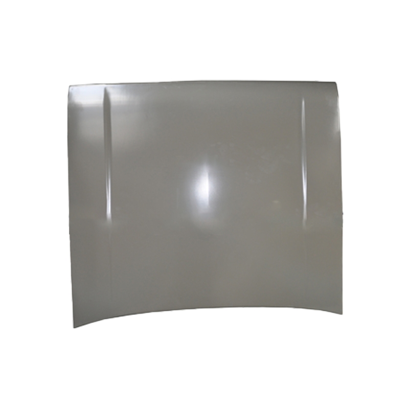 HOOD COMPATIBLE WITH 1976 FORD ESCORT MARK 2