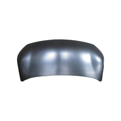 HOOD COMPATIBLE WITH 2022- GAC AION Y PLUS