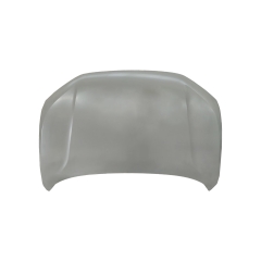 HOOD COMPATIBLE WITH 2022- AUDI Q4,  (STEEL)