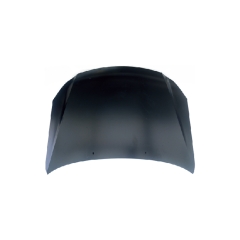 HOOD COMPATIBLE WITH 2014-2015 BYD G3