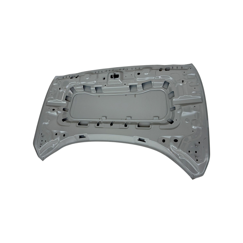 HOOD COMPATIBLE WITH 2022- FIAT PULSE