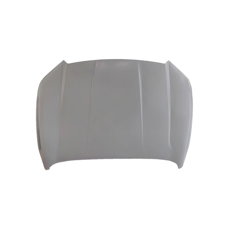 HOOD COMPATIBLE WITH 2024- DONFENG RICH 6