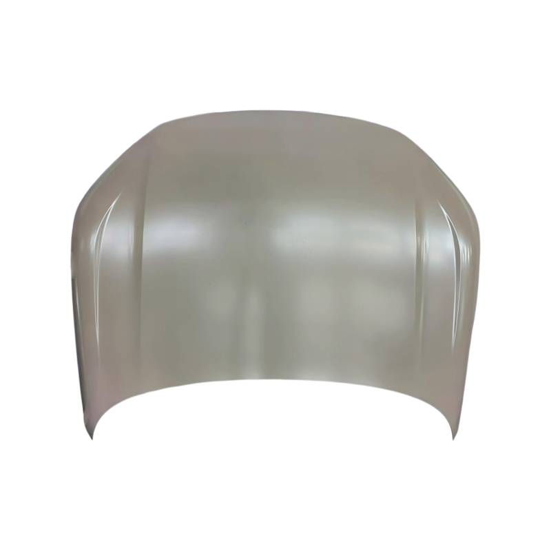 HOOD COMPATIBLE WITH 2023- BYD FRIGATE 07