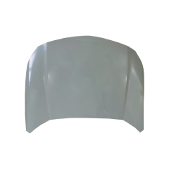 HOOD COMPATIBLE WITH 2023- GAC GS3 EMZOOM