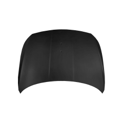 HOOD COMPATIBLE WITH 2023- HONG QI H5