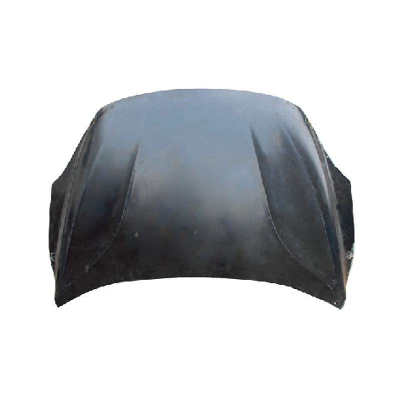 HOOD COMPATIBLE WITH VOLOV V40