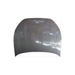 HOOD COMPATIBLE WITH LYNK-CO 02