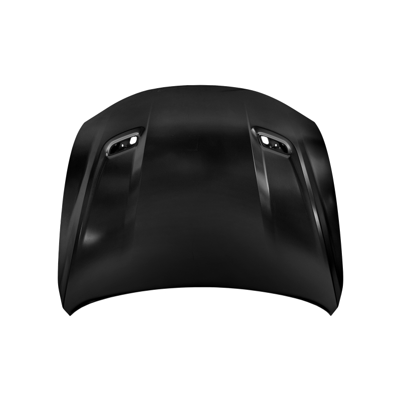HOOD COMPATIBLE WITH 2024- DODGE HORNET