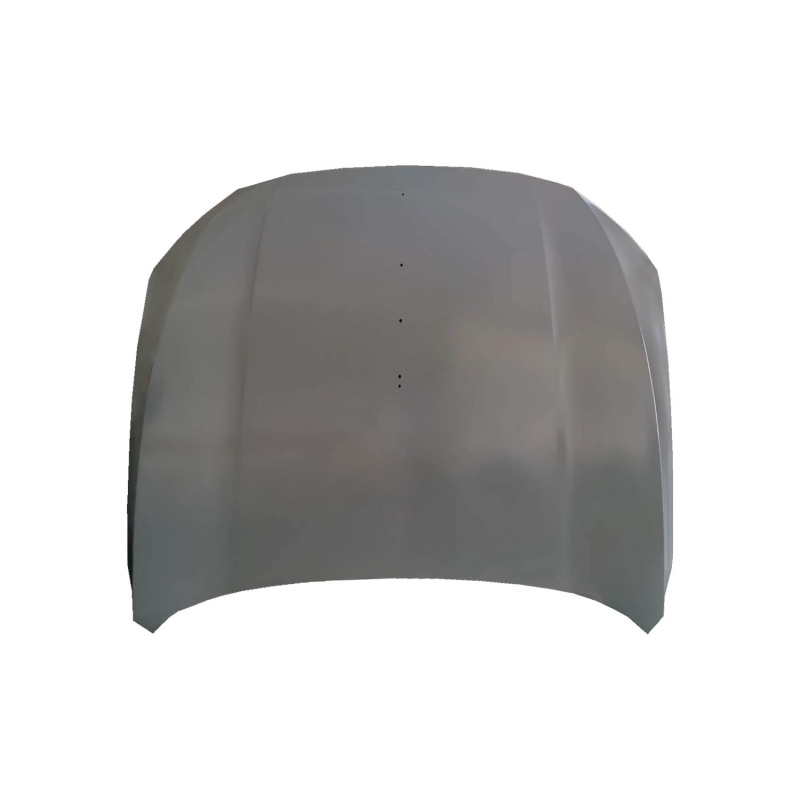 HOOD COMPATIBLE WITH 2019-2022 HONG QI HS5