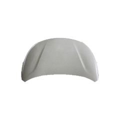 HOOD COMPATIBLE WITH 2013-2015 CHERY E3