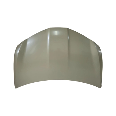 HOOD COMPATIBLE WITH 2023- ZEEKR X, (STEEL)