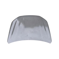 HOOD COMPATIBLE WITH 2021- MAXUS T90